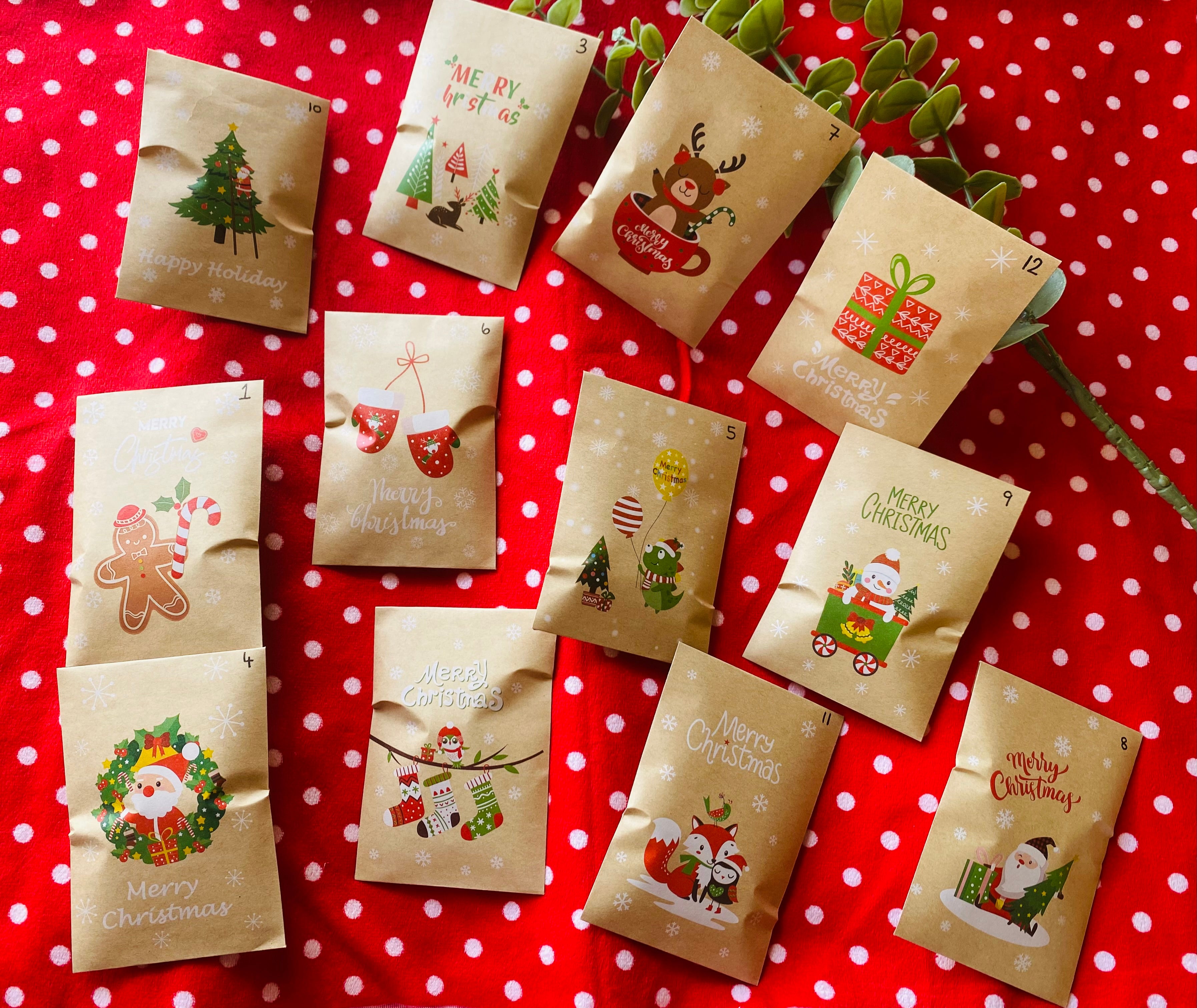 12 Days of Christmas - Earrings and Accessories