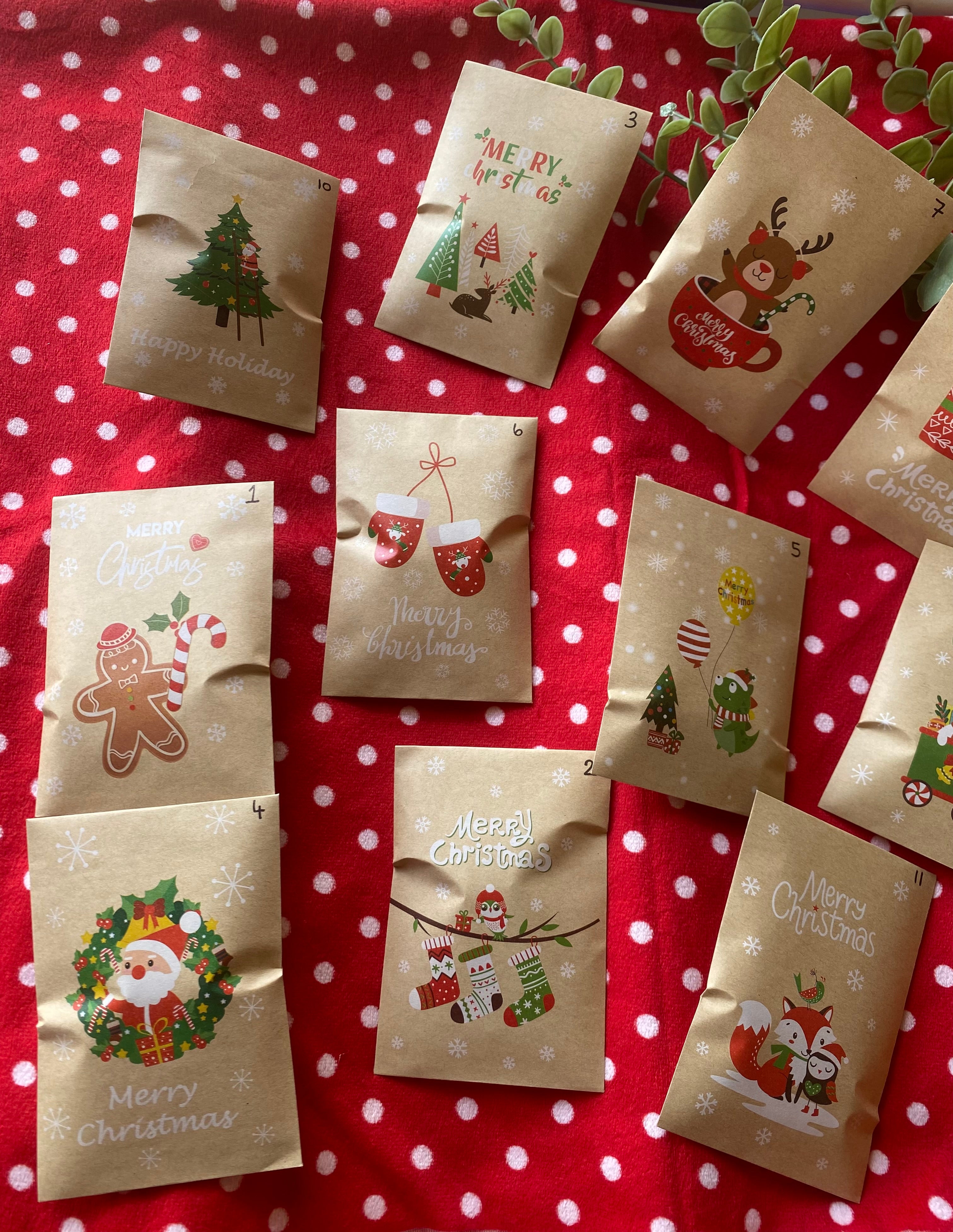 12 Days of Christmas - Earrings and Accessories