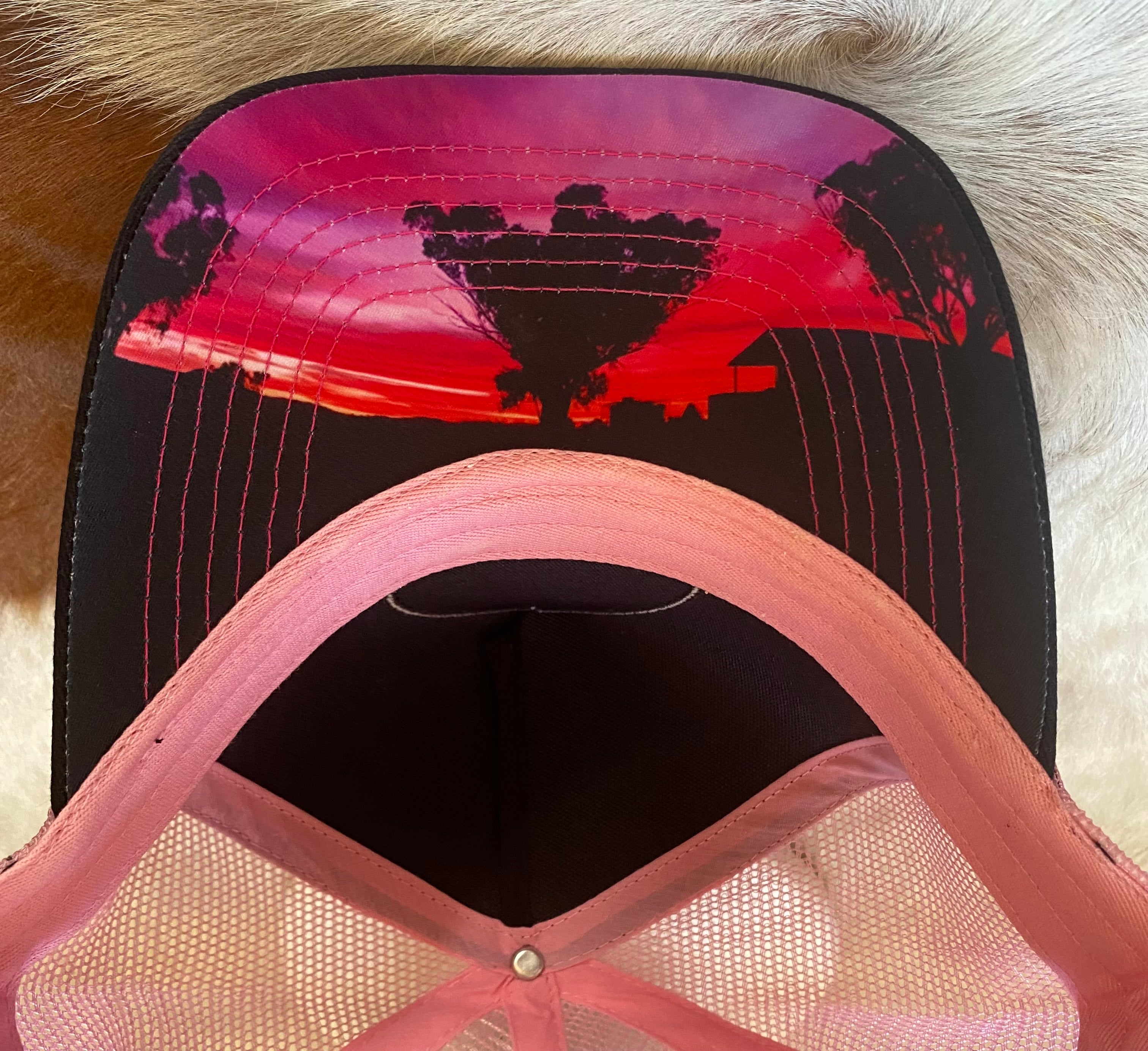 Pink & Black Sunset graphic Trucker Cap